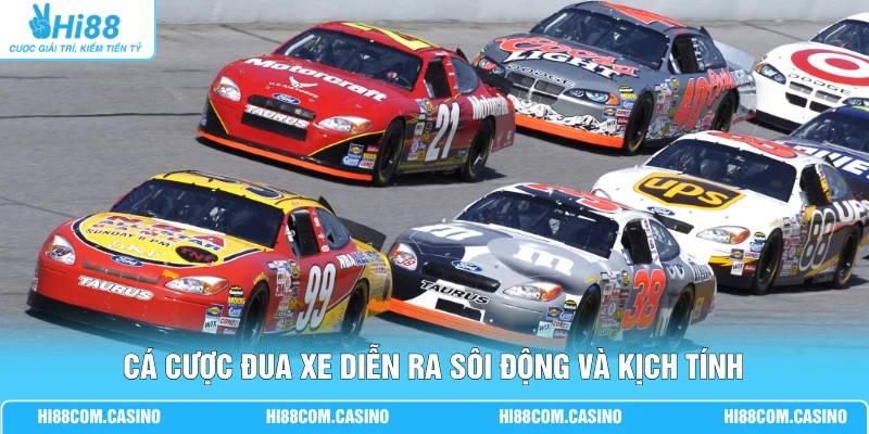 Cá Cược Đua Xe - Hướng Dẫn Luật Chơi Và 5 Loại Kèo Hay 1 Cá cược đua xe diễn ra sôi động và kịch tính