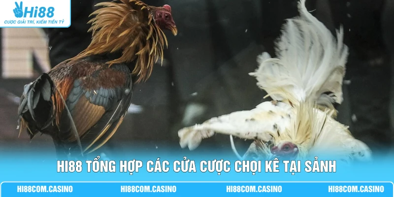 Hi88 tổng hợp các cửa cược chọi kê tại sảnh