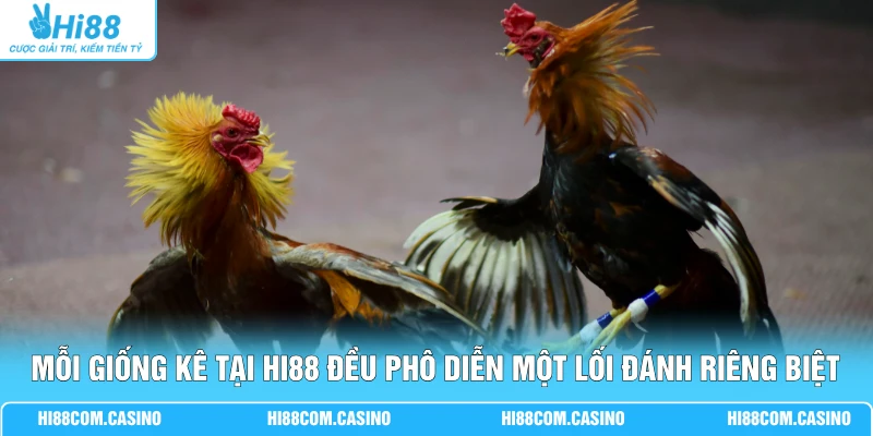 Mỗi giống kê tại Hi88 đều phô diễn một lối đánh riêng biệt