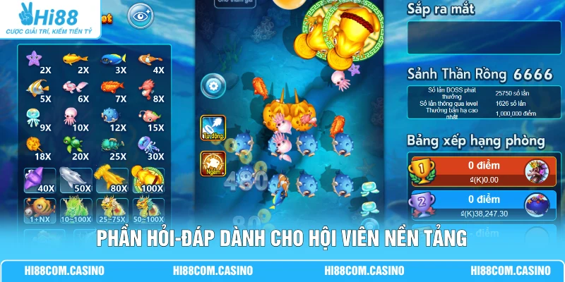 Phần hỏi-đáp dành cho hội viên nền tảng