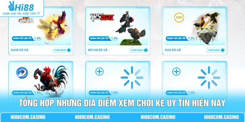 Sảnh Đá Gà - Khám Phá 4 Đấu Trường Chọi Kê Kịch Tính 3 Tổng hợp những địa điểm xem chọi kê uy tín hiện nay