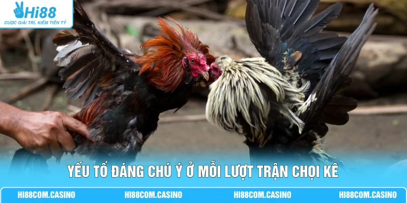 GA28 Đá Gà - Xem Chọi Kê Hấp Dẫn Với Chất Lượng Full 4K 3 Yếu tố đáng chú ý ở mỗi lượt trận chọi kê
